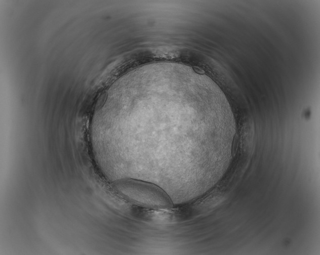 X0000115590229200912011510