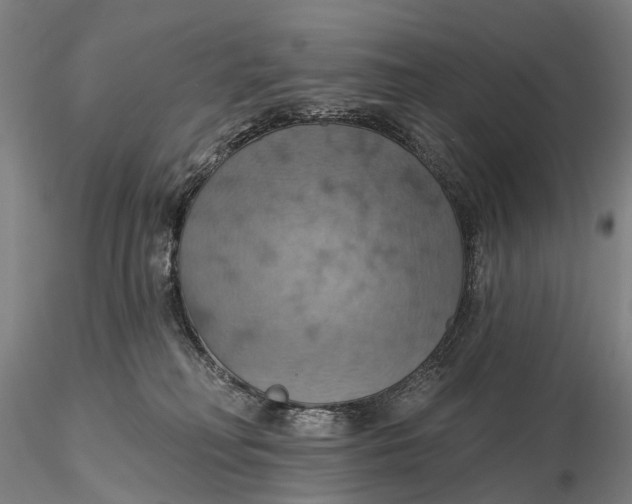 X0000115590230200912011510
