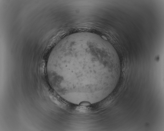 X0000115590231200912011510