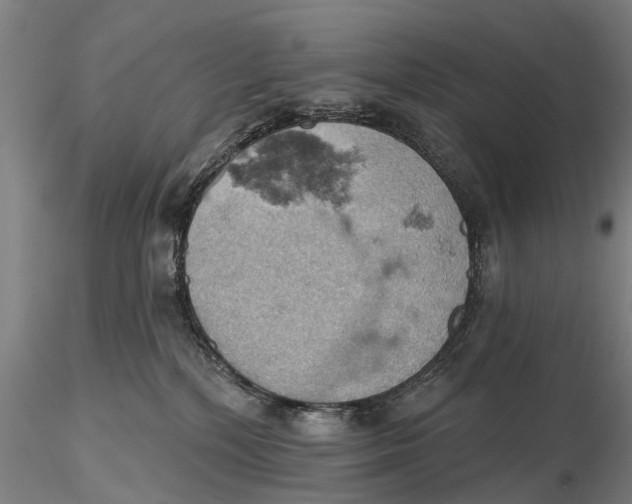 X0000115590232200912011510