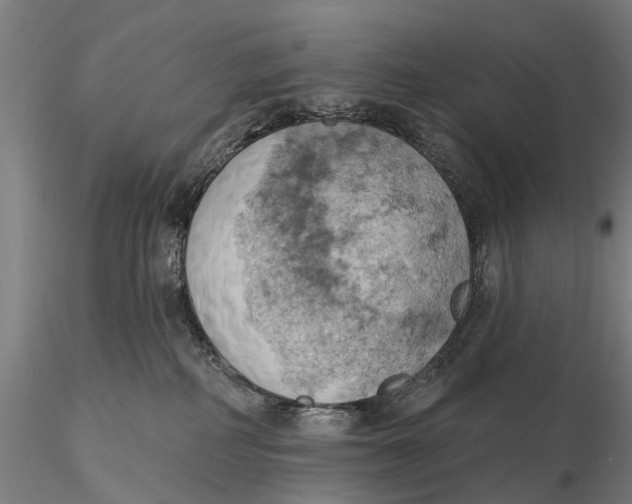 X0000115590234200912011510
