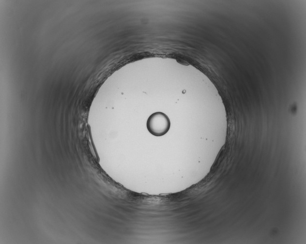 X0000115590237200912011510