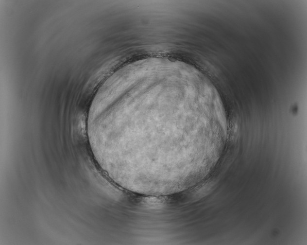 X0000115590238200912011510