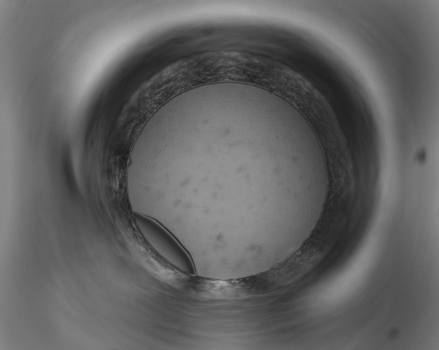 X0000115590239200912011510