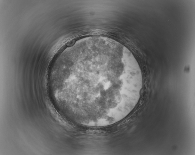 X0000115590242200912011510
