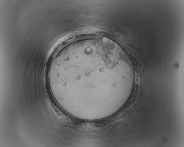 X0000115590244200912011510
