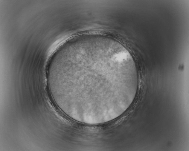 X0000115590245200912011510