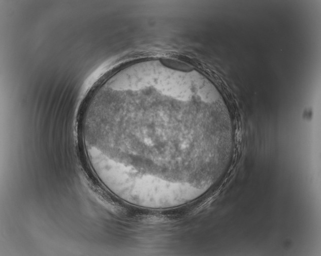 X0000115590246200912011510