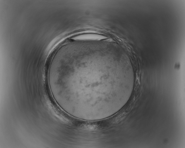 X0000115590247200912011510