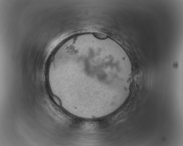 X0000115590248200912011510