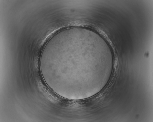 X0000115590249200912011510
