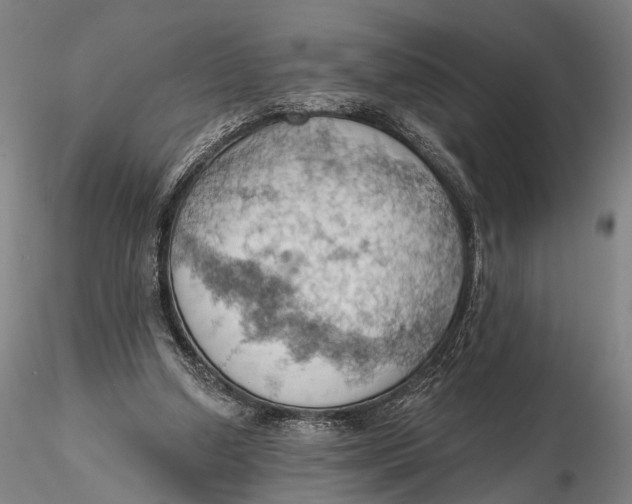 X0000115590250200912011510