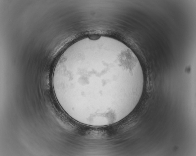 X0000115590251200912011510
