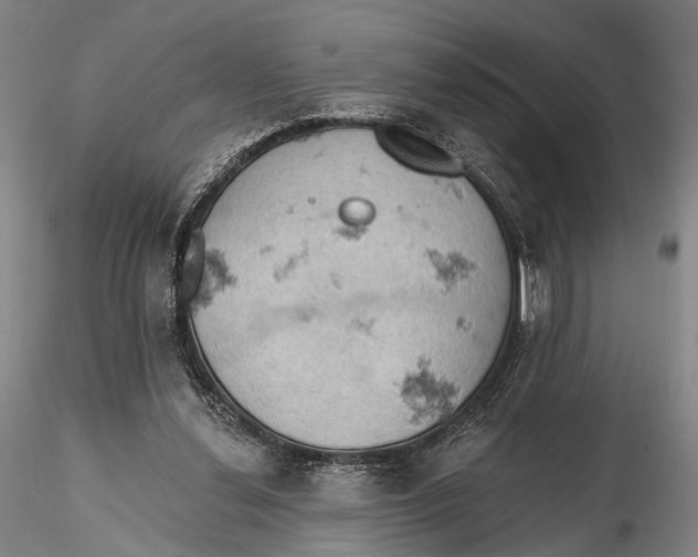 X0000115590252200912011510