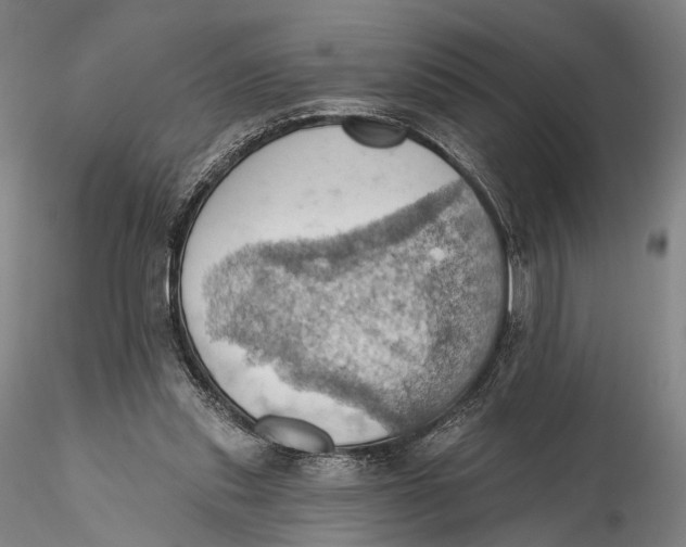 X0000115590253200912011510