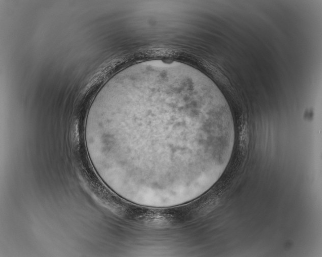 X0000115590254200912011510