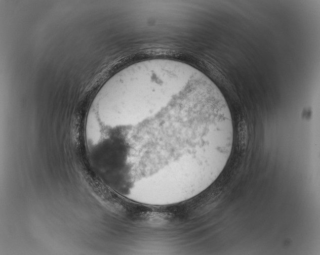 X0000115590255200912011510