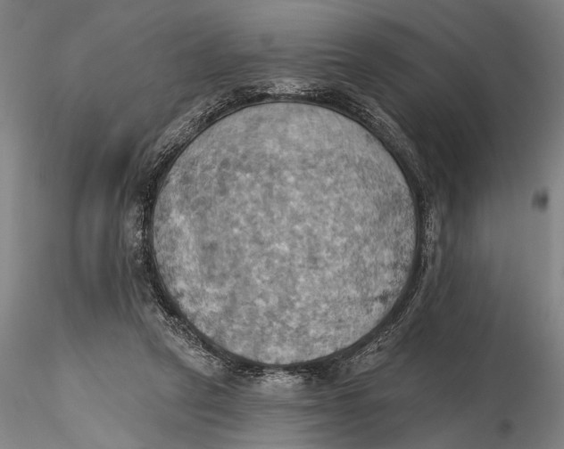 X0000115590257200912011510