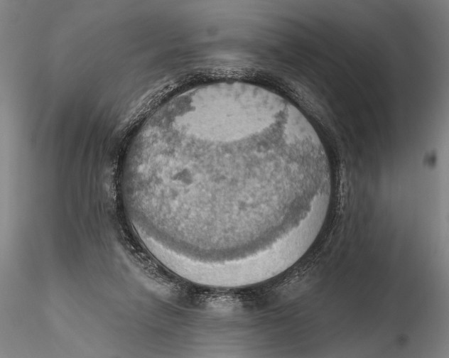 X0000115590258200912011510