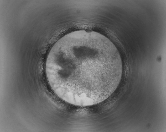 X0000115590259200912011510