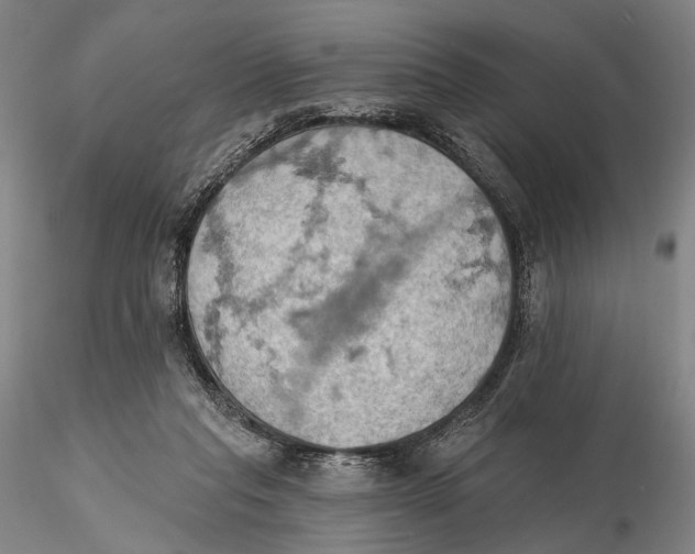 X0000115590261200912011510