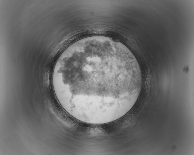 X0000115590262200912011510