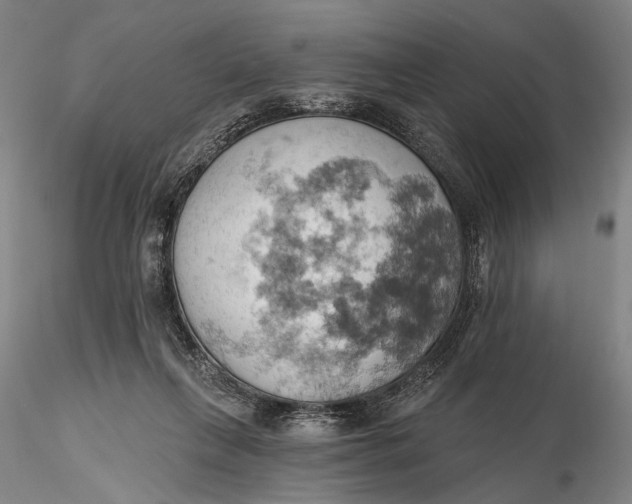 X0000115590263200912011510