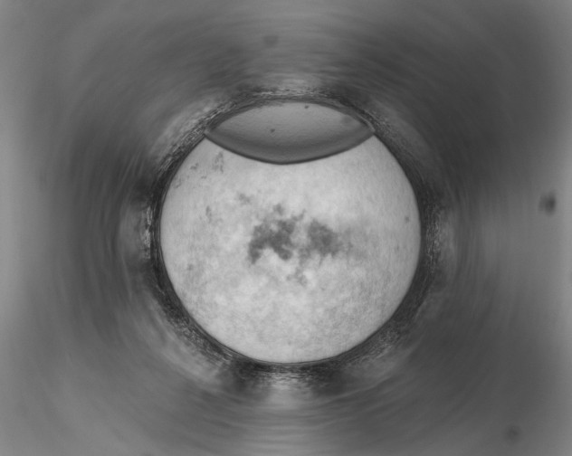 X0000115590264200912011510