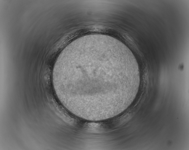 X0000115590265200912011510