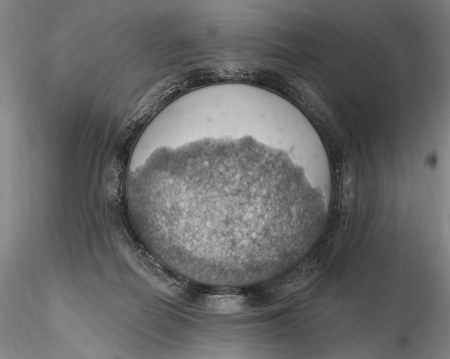 X0000115590266200912011510
