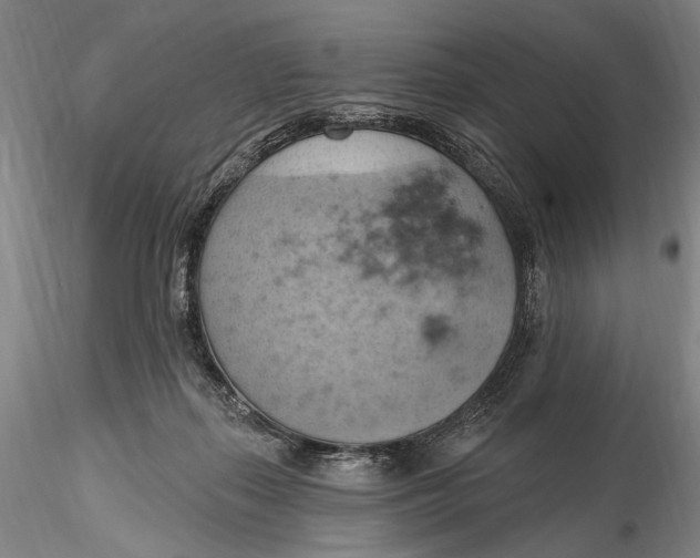 X0000115590267200912011510
