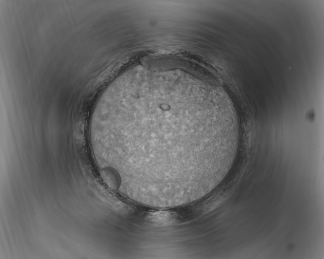 X0000115590269200912011510