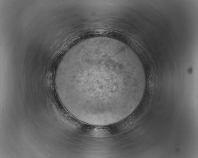 X0000115590270200912011510