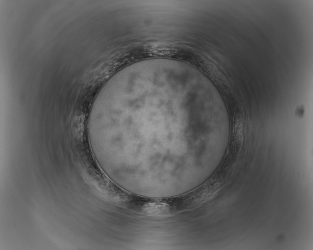 X0000115590271200912011510