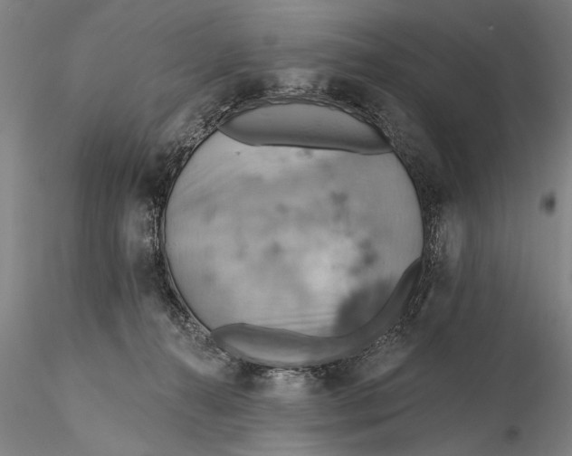 X0000115590272200912011510