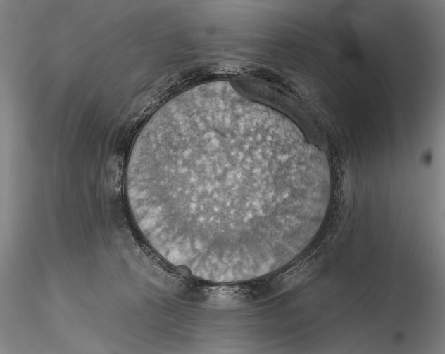 X0000115590273200912011510
