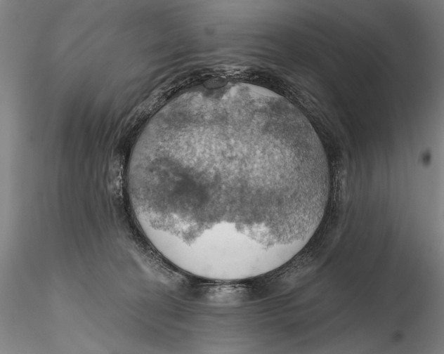 X0000115590274200912011510