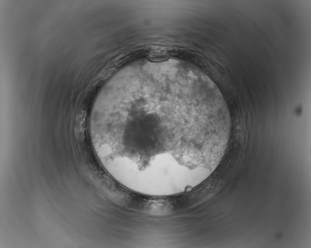 X0000115590275200912011510