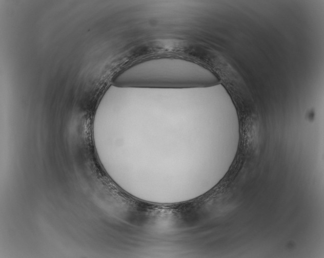 X0000115590276200912011510