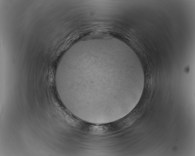 X0000115590277200912011510