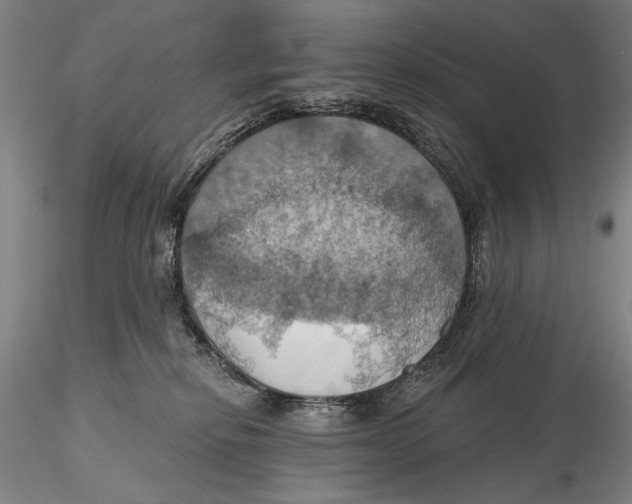 X0000115590278200912011510