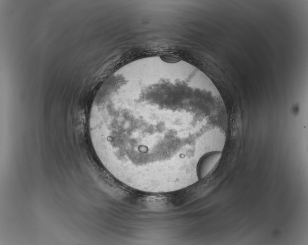 X0000115590279200912011510