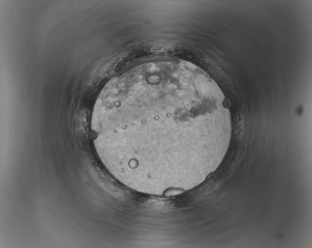 X0000115590280200912011510