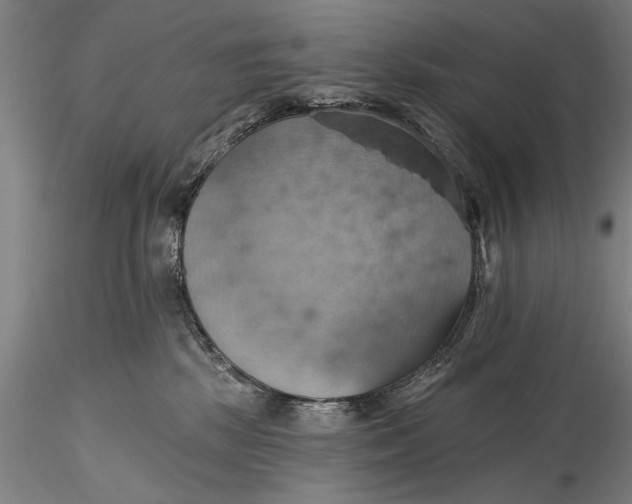 X0000115590281200912011510