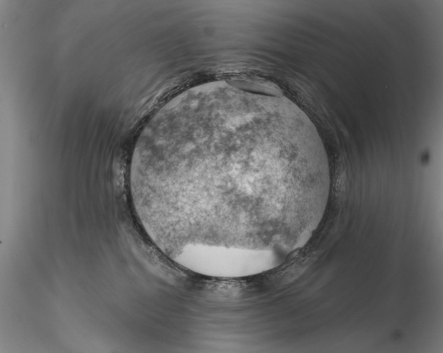 X0000115590282200912011510