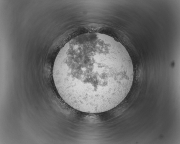 X0000115590283200912011510