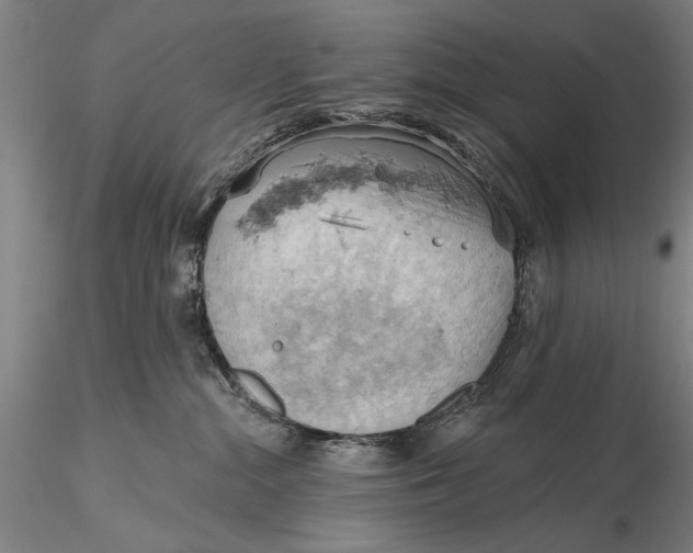 X0000115590284200912011510