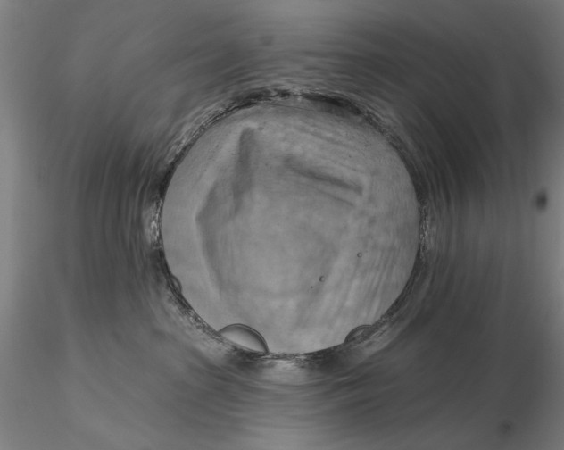 X0000115590285200912011510