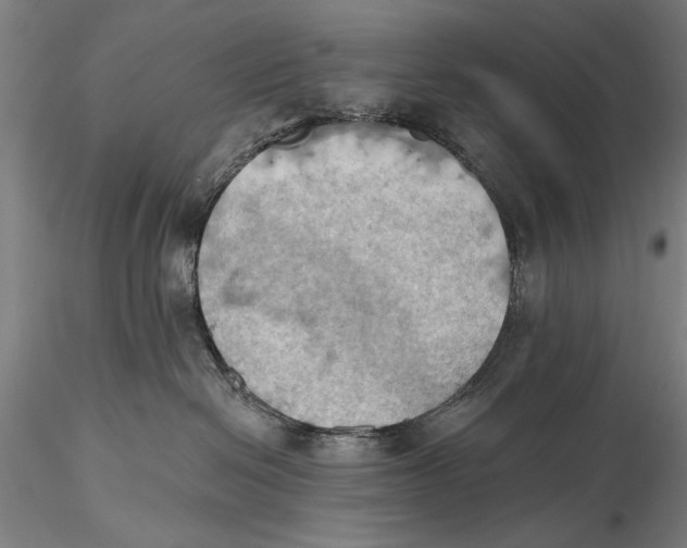 X0000115590286200912011510