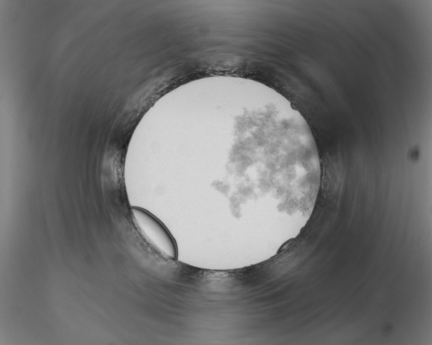 X0000115590287200912011510